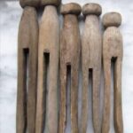 Why You Should Never Throw Away Lemon Seeds 🍋