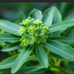 Doctors reveal eating beets causes..