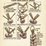 STOP SCROLLING: Here is the truth behind this “100-Year-Old” Rainwater Filter.