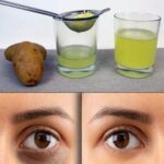 Can you spot the hidden dog? Only people with eagle eyesight can!