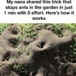 Yogurt Cake with Chocolate Chips: creamy and soft, you will fall in love with every bite