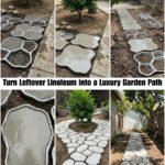 The Remarkable Power of Garlic for Foot Health: Benefits and Homemade Uses