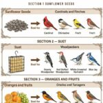 Did You Know Not All Garlic Tastes the Same? Here’s Your Ultimate Guide!