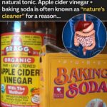 Why Does Aldi Make Customers Pay for Shopping Carts?