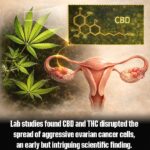 Taking care of a key area that many older people often overlook.