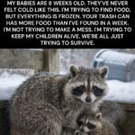 Squirrels Are Working Overtime in Winter