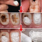 The Surprising Kitchen Duo: How Garlic and Black Pepper May Support Joint Comfort and Circulation