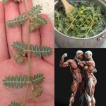 According to a psychological perspective the reasons why a woman..