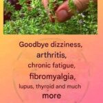 Cremation and Faith: What Scripture Says and What Truly Matters After D3ath