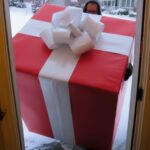 The Quiet Power of Orange Foods