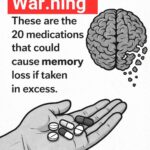 What the First Animal You Notice May Say About Your Personality