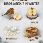 Why Okra May Support Health, According to Experts