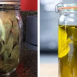 Little Details on Women’s Underwear Everyone Notices but Few Understand