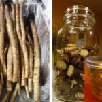 20 Genius Ways to Use Cloves for Your Health