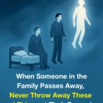 Horsetail (Equisetum arvense): 15 Powerful Benefits and How to Use It Safely