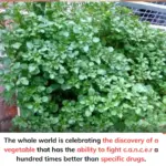 The Self-Sufficient Backyard: Start Small, Build a Life That Feeds You