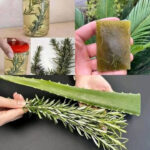 Why Seniors Should Wear Socks Even at Home