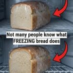 Can you find the youngest one?…