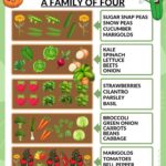 Seed Starting Schedule