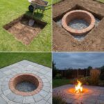 Potato Growth Timeline