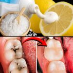 Good intentions can turn dangerous when the wrong food goes outside