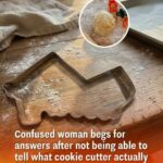 If You See These Eggs In Your Backyard, Burn Them Immediately: A Comprehensive Guide to Identifying and Managing Tick Eggs