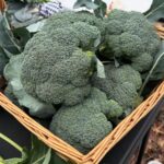 An itchy rash keeps flaring up under my breasts in winter, but my doctor isn’t available right now. What can I do today?