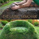 Some plants protect others from heat, wind, and frost.