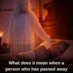 Between the ages of 65 and 80: five aspects that reflect well-being and a well-cared-for life.