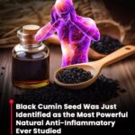 Tulsi Oral Health Benefits: Natural Protection Against Cavities, Gum Issues & Bad Breath