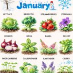 I didn’t realize you could do this