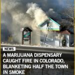 Foods That Support Stronger Nails After 40