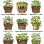 New Research Reveals Fermented Foods May Protect Brain Health