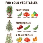 Easy homemade sauces