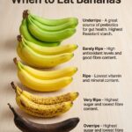 A Strange Discovery in the Garden: Small White Spheres That Reveal a Surprising Mystery