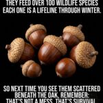 13 Items in Your Kitchen It’s Really OK to Toss Out