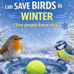 Miracle Garlic Soup: 100 Times more Effective than Antibiotics