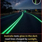 From Garden Dirt to Underground Storage