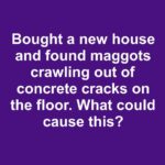 Patty Melts with Secret Sauce