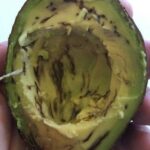 The Curious Case of the Hollow Banana Stem