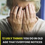 Delicious Cheesy Garlic Chicken Wraps You’ll Love