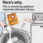 Natural rooting solutions