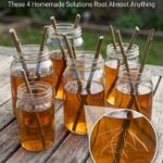 How To Clean The Washing Machine So Clothes Come Out As Clean As Can Be