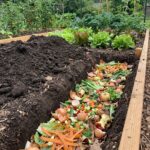 2 Ingredient Peanut Butter Cookies