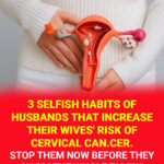 Cabbage Leaves on the Chest: A Natural Remedy for Congestion and Cough Relief