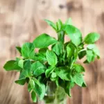 Which Raw Food Would You Eat