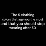 Homemade Spaghetti Sauce