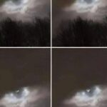 Bay Leaves in the Washing Machine: The Surprising Hack That Will Leave You Speechless