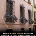 How to Make Your Own Dawn Powerwash Refill at Home