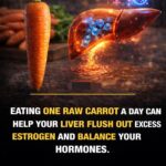 Homemade Pickled Vegetables